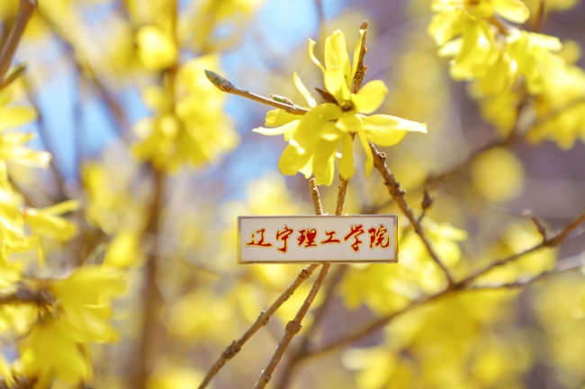 學